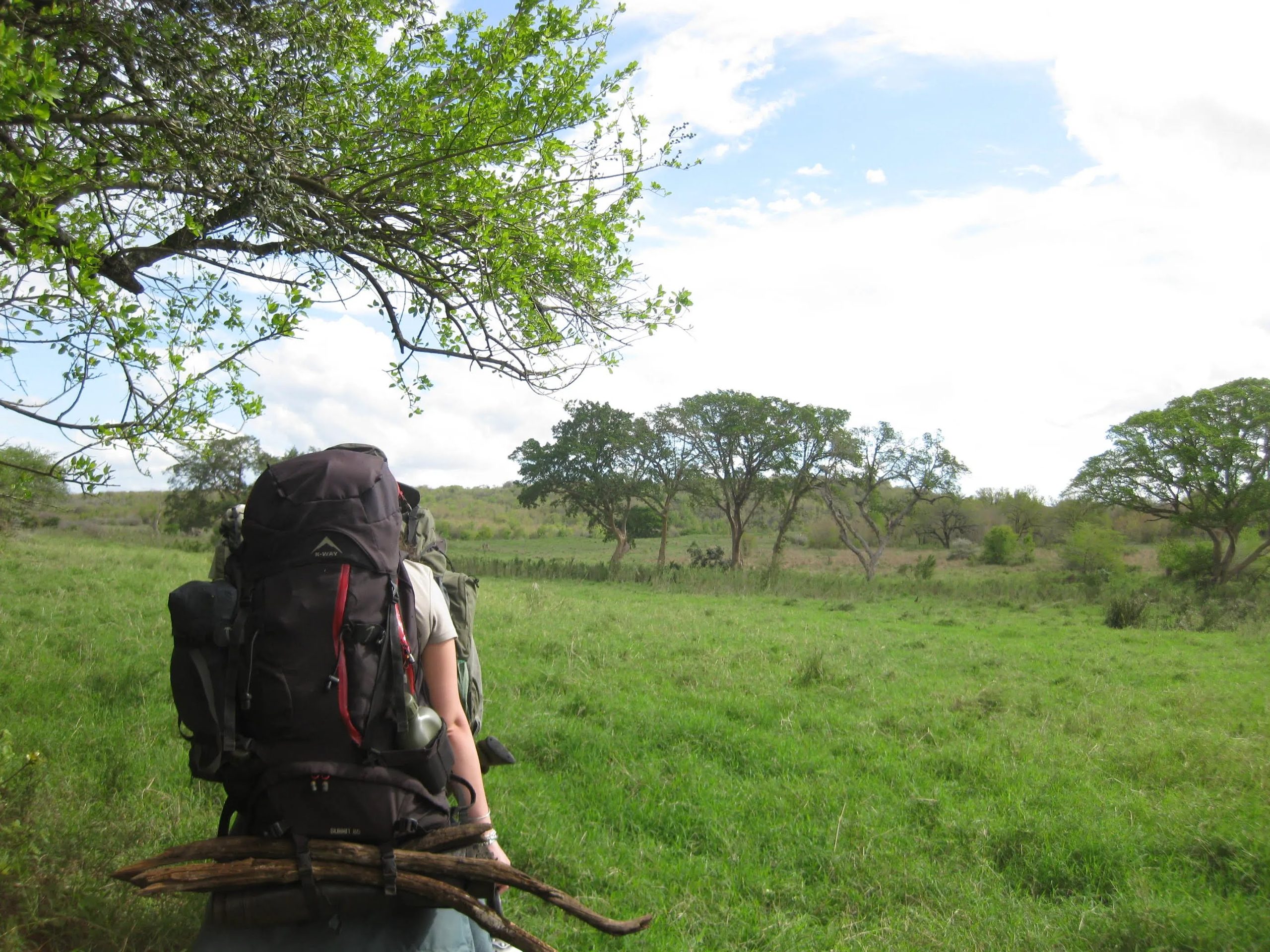 Featured image for “Imfolozi Wilderness Trail 2026”